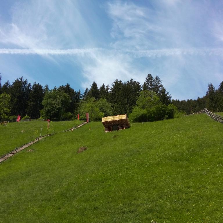 Pension Holzknechthof Am See نيوستيف ام ستوبيتا المظهر الخارجي الصورة